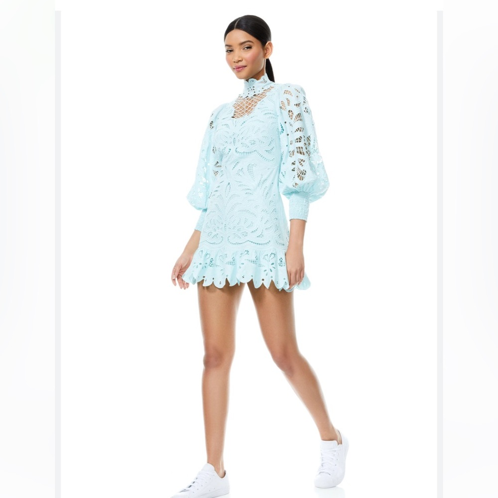 Alice and Olivia Yazmin Dress